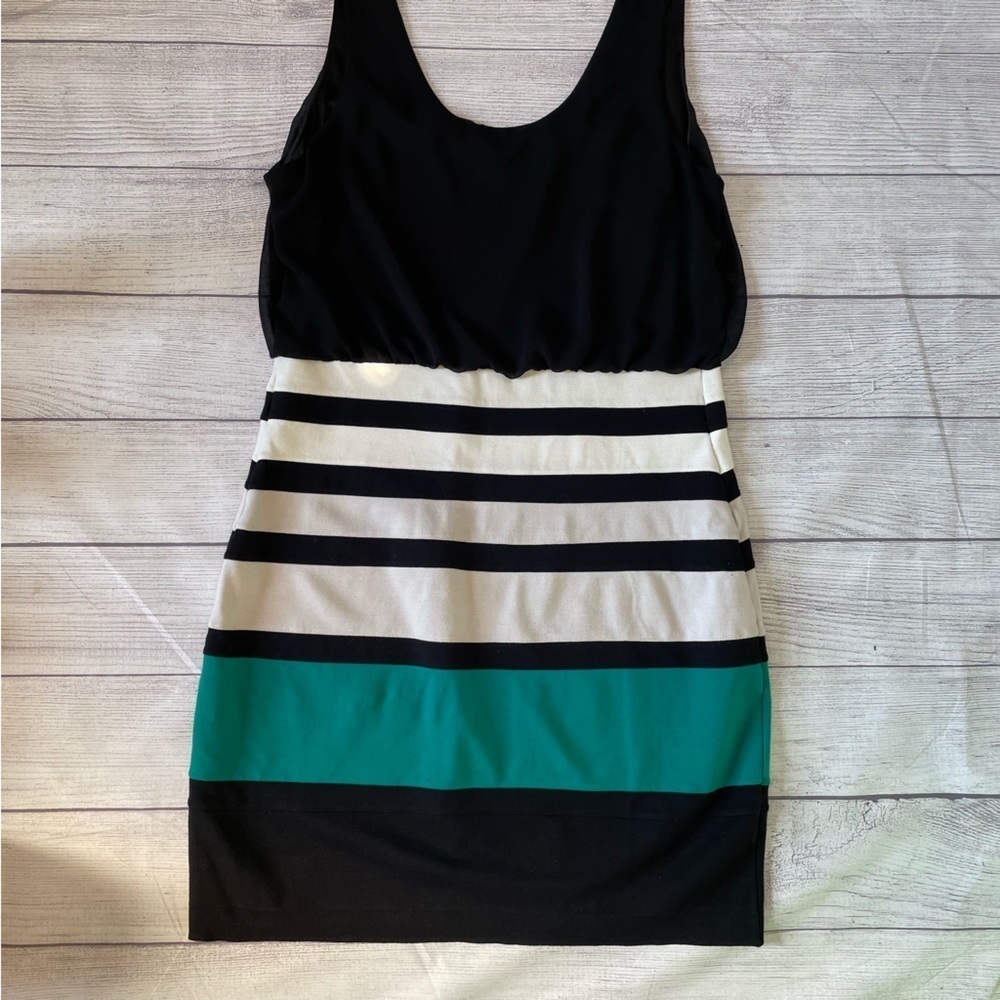 Express Dress - Picture 4 of 7